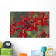 Hawaii, Orange Orchid Cluster Queen Emma Wall Mural