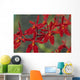 Hawaii, Orange Orchid Cluster Queen Emma Wall Mural