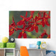 Hawaii, Orange Orchid Cluster Queen Emma Wall Mural