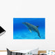 Tursiops Truncatus Wall Mural