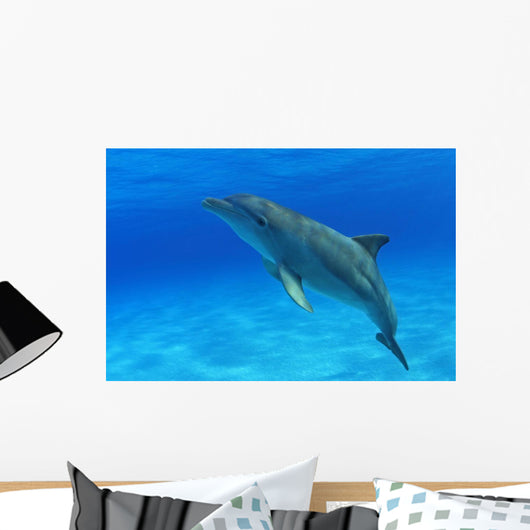 Tursiops Truncatus Wall Mural