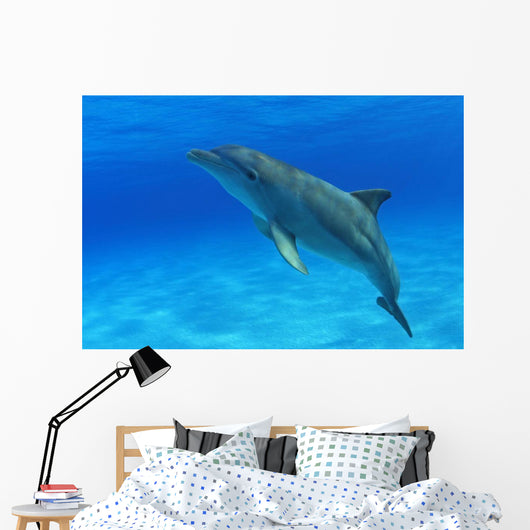 Tursiops Truncatus Wall Mural
