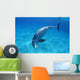 Tursiops Truncatus Wall Mural