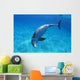 Tursiops Truncatus Wall Mural