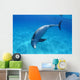 Tursiops Truncatus Wall Mural