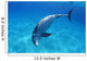 Tursiops Truncatus Wall Mural