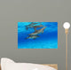 Stenella Plagiodon Wall Mural
