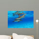 Stenella Plagiodon Wall Mural