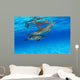 Stenella Plagiodon Wall Mural
