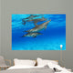 Stenella Plagiodon Wall Mural