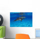 Stenella Plagiodon Wall Mural