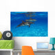 Stenella Plagiodon Wall Mural