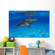 Stenella Plagiodon Wall Mural