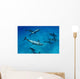 Atlantic Bottlenose Dolphin Interact With Atlantic Spotted Dolphin Wall Mural