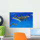 Atlantic Bottlenose Dolphin, Wall Mural