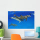 Atlantic Bottlenose Dolphin, Wall Mural