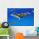 Atlantic Bottlenose Dolphin, Wall Mural