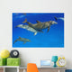 Atlantic Bottlenose Dolphin, Wall Mural