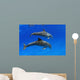 Two Atlantic Bottlenose Dolphin, Wall Mural