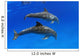 Two Atlantic Bottlenose Dolphin, Wall Mural