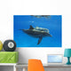 Two Atlantic Bottlenose Dolphin, Wall Mural