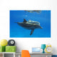 Two Atlantic Bottlenose Dolphin, Wall Mural
