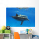 Two Atlantic Bottlenose Dolphin, Wall Mural