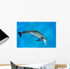 Atlantic Bottlenose Dolphin, Wall Mural