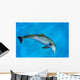 Atlantic Bottlenose Dolphin, Wall Mural