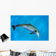 Atlantic Bottlenose Dolphin, Wall Mural