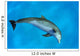 Atlantic Bottlenose Dolphin, Wall Mural