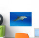 Atlantic Bottlenose Dolphin, Wall Mural