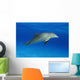 Atlantic Bottlenose Dolphin, Wall Mural