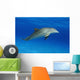 Atlantic Bottlenose Dolphin, Wall Mural