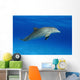 Atlantic Bottlenose Dolphin, Wall Mural