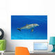 Atlantic Bottlenose Dolphin, Wall Mural