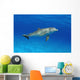 Atlantic Bottlenose Dolphin, Wall Mural
