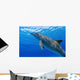 Atlantic Bottlenose Dolphin, Wall Mural
