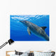 Atlantic Bottlenose Dolphin, Wall Mural