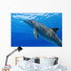 Atlantic Bottlenose Dolphin, Wall Mural