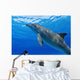 Atlantic Bottlenose Dolphin, Wall Mural