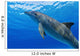 Atlantic Bottlenose Dolphin, Wall Mural