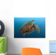 Chelonia Mydas Wall Mural