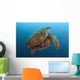 Chelonia Mydas Wall Mural