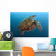 Chelonia Mydas Wall Mural