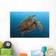 Chelonia Mydas Wall Mural