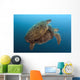 Chelonia Mydas Wall Mural