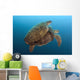 Chelonia Mydas Wall Mural