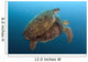 Chelonia Mydas Wall Mural