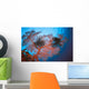 Palau, Sea Fans Feather Stars Wall Mural